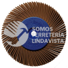 4851 CEPILLO RADIAL TERMOPLASTICO DE 6 DE DIAMETRO COLOR CAFE CON ADAPTADOR Y REDUCTORES 7/8- 3/4- 5/8- 1/2 TENAZIT