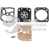 102011 KC-MOT-4518 KIT DE MANTENIMIENTO PARA CARBURADOR PARA MOT-4518 TRUPER