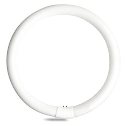 L32W/765C LAMPARA FLUORESCENTE CIRCULAR FOCO 32W LUZ FRIA OSRAM