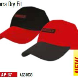 AP-37 GORRA DRI-FIT MIKELS