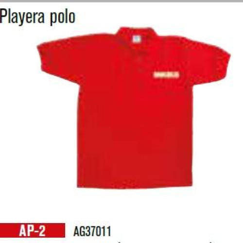 AP-2 PLAYERA POLO MIKELS