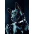 613108 COLLAR PARA MASCOTA REFLECTANTE XS, NEGRO PETIT MASCOTAS